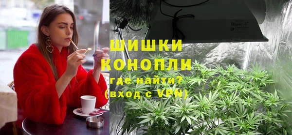 молекула духа Вязьма