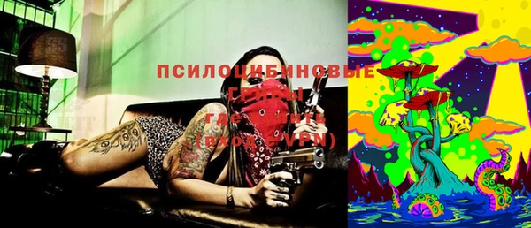2c-b Горняк