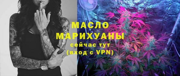 молекула духа Вязьма